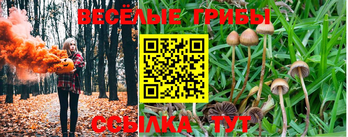 Александров  Псилоцибиновые грибы GOLDEN TEACHER  Вход с VPN 